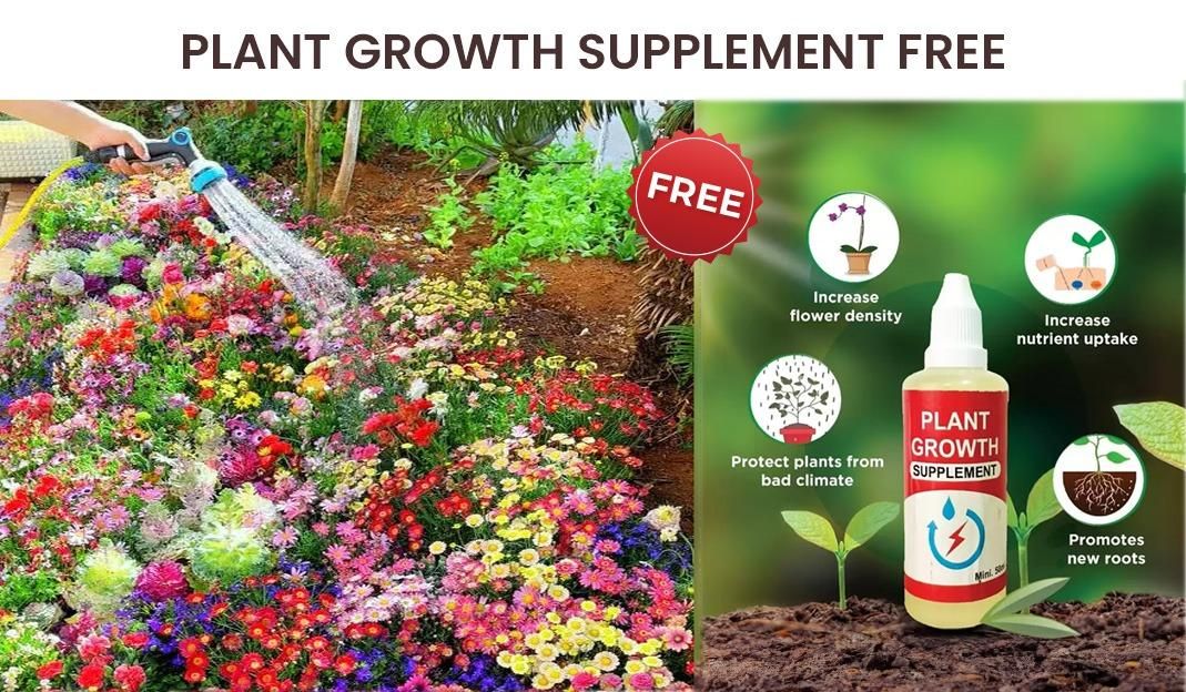 Buy Varieties of Flower Seeds (Pack of 100) And Get Plant Growth Supplement Free - Utility Mart