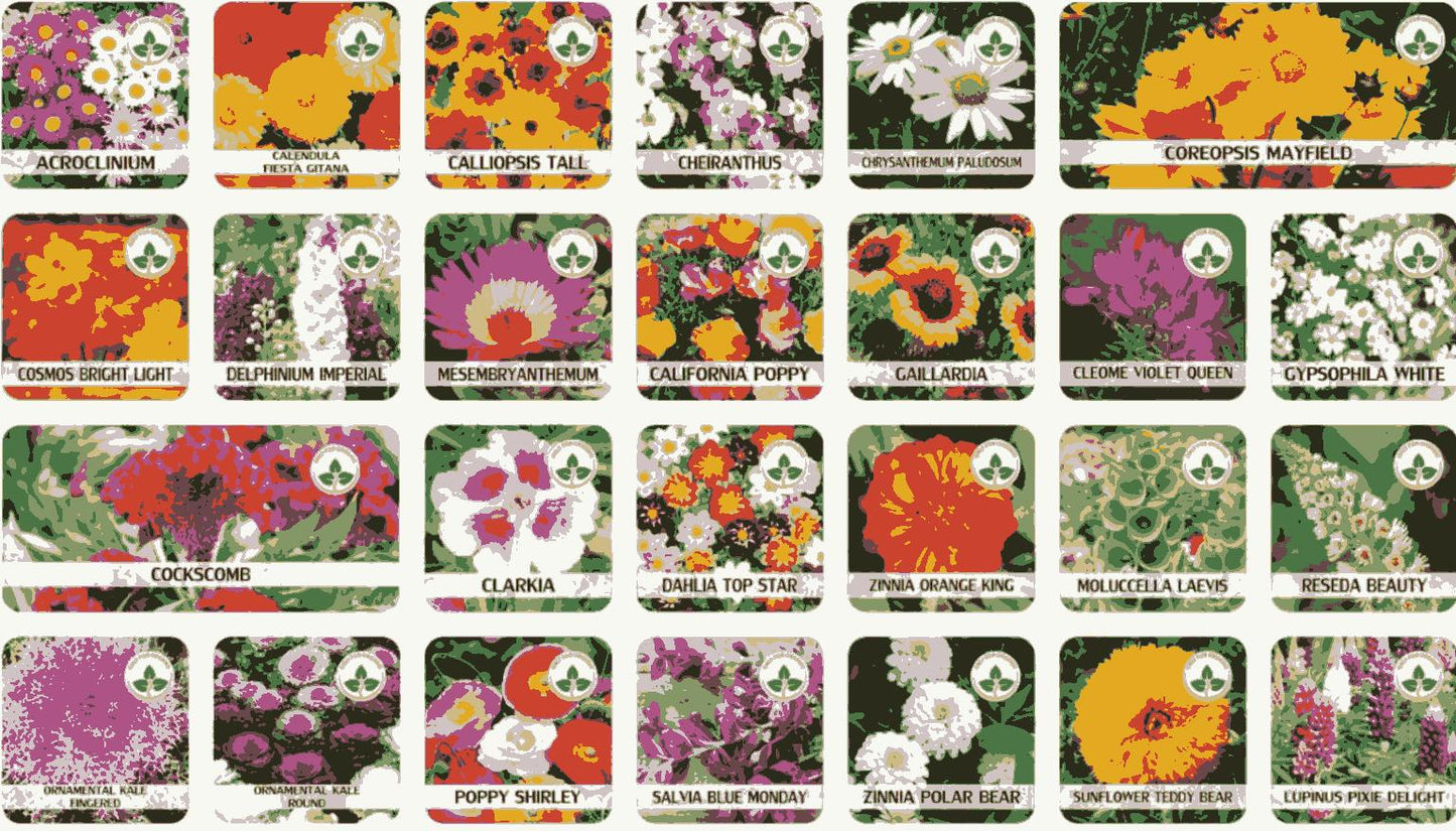 Buy Varieties of Flower Seeds (Pack of 100) And Get Plant Growth Supplement Free - Utility Mart