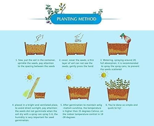 Mix Colour Bougainvillea Flower Seeds - Utility Mart