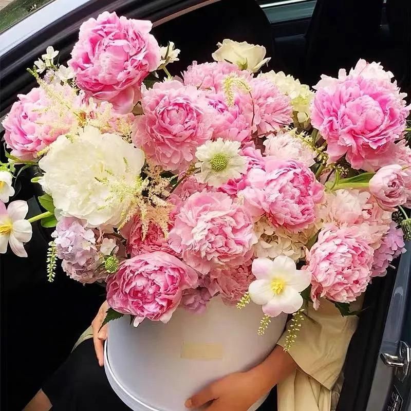 The Queen of Flowers?Peony Flower (Pack of 20) - Utility Mart 