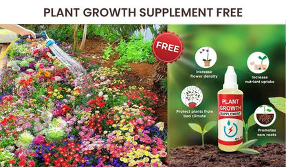 Buy Varieties of Flower Seeds (Pack of 100) And Get Plant Growth Supplement Free - Utility Mart 