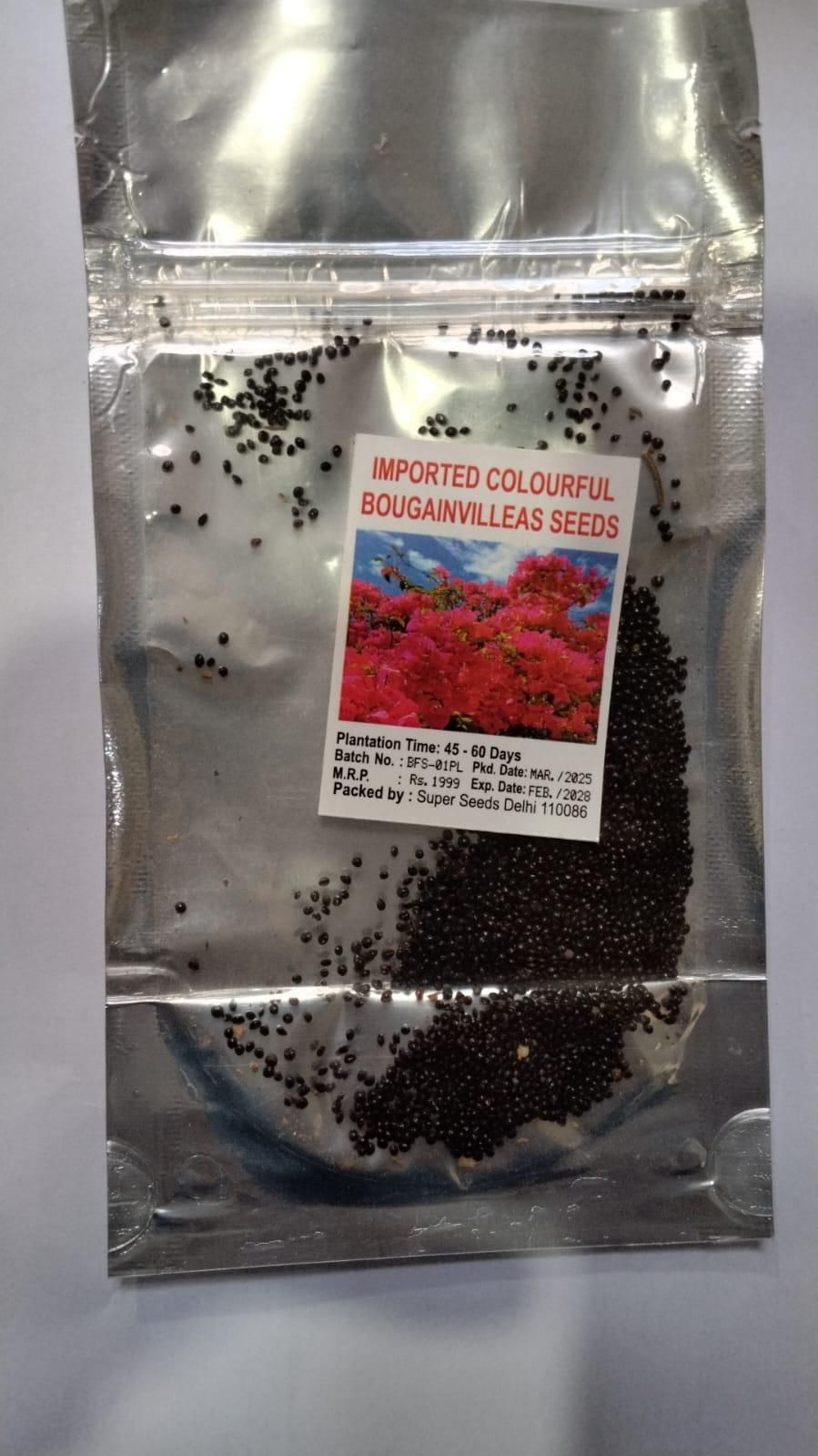 Mix Colour Bougainvillea Flower Seeds - Utility Mart 