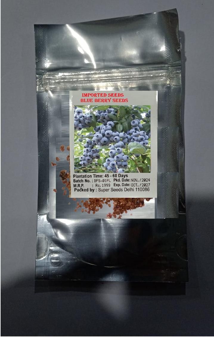Giant Blueberry Fruit Seeds - Utility Mart 