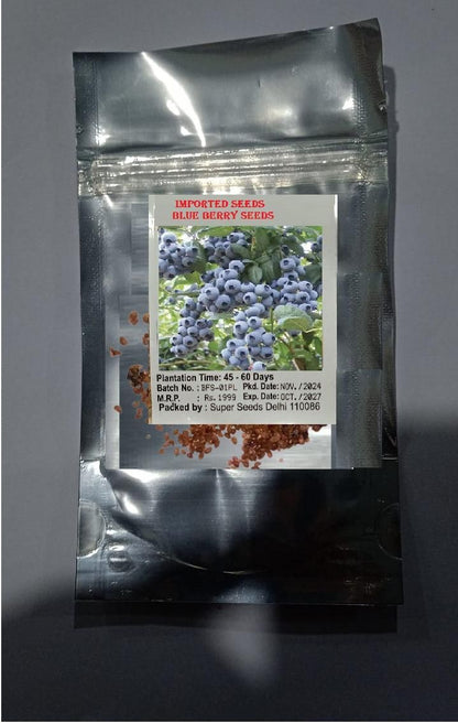 Giant Blueberry Fruit Seeds - Utility Mart 