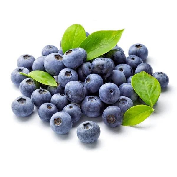 Giant Blueberry Fruit Seeds - Utility Mart 
