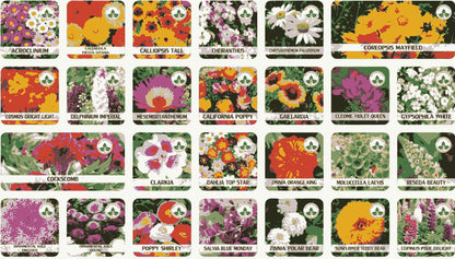 Buy Varieties of Flower Seeds (Pack of 100) And Get Plant Growth Supplement Free - Utility Mart 