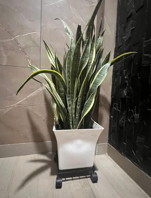Wheel Pot Stand For Planters - Utility Mart 